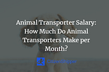 Animal Transporters' Salary: How Much Do Animal Transporters Make Per Month?