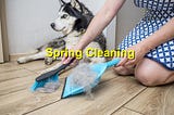 Spring Cleaning for Pet Owners