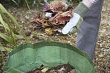 How to Recycle Leaves — Practical Guide — MyGardenZone