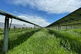 Solar Panels’ Shade Helps Boost Grassland Productivity