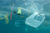 Shocking Ocean Plastic Statistics: A Threat to Marine life, Ocean & Humanity
