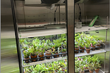 Plant Growth chambers with diurnal light control: