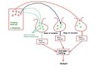 Ensemble Methods (Algorithms)