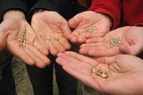 S.O.S — Save Our Seeds