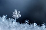 To Snowflake or Not to Snowflake?