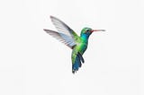 Authenticated requests with Vite + React 18 + Hummingbird Swift API