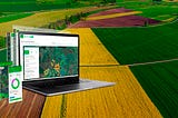CEO AgriChain Наталія Богачева: Ми створюємо сучасну цифрову культуру українського агробізнесу
