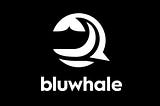 BluWhales: Turning Your Data into Your Most Valuable Asset with $BLUAI