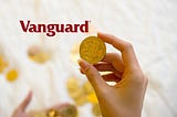 What is Vanguard Portfolio?