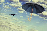 An umbrella floating in the sky, beside a bird.