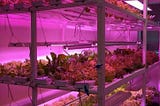 Re-Nuble — Enabling Vertical Farms to go Organic