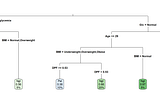 Using mlr for Machine Learning in R: A Step By Step Approach for Decision Trees