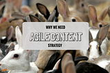 why agile content strategy