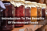 Introduction To The Benefits Of Fermented Foods