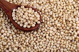 Jowar Dishes to Include in Your Diet & Enjoy Their Health Benefits!