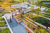 Case Study: Multifunctional Green Roof