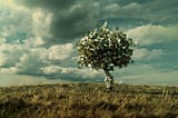 3 Costly Mistakes Beginning Investors Make