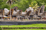 Tongkonan’s traditional Torajan homes with their saddle-shaped roofs. Commonly called Boat houses by westerners.