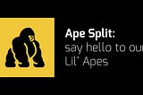 Ape Split — say hello to our Lil’ Apes