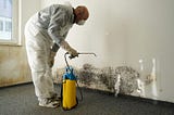 Unveiling the Importance of Residential Mold Inspection in Birmingham