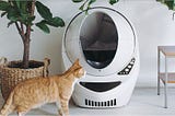 One Cat Mom’s “Litter”ally Honest Review of the Litter-Robot