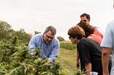 FDA, Floral Hemp, and CBD — What a Mess!