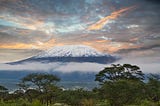 Life After the Summit | Kilimanjaro Sunrise A Trekking Company