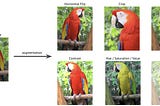 Boost Your YOLO Model with Albumentations: A Step-by-Step Guide to Advanced Data Augmentation