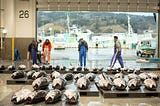 Japan Might Be Fishless In 2050 As Catch Declines To Lowest