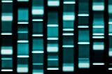 Marketing Genomic Testing for Food Safety | FounderTraction