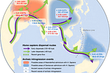 Map of Homo sapiens dispersal routes and admixture between archaic and modern humans Migration pathways of H. sapiens are supported by archeological evidence. Translucent red and blue represent possible ranges for contact between archaic and modern humans. The waves, admixture proportions, and dates inferred in our study are labeled in boxes in white. kya thousand years ago.