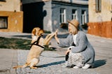 Woman kneeling and high fiving a dog.