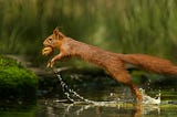 Sink data to Redis in a Squirrel way (In House Online-Feature Store)