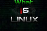What is linux in 2020 ?