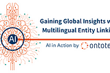 Gaining Global Insights with Multilingual Entity Linking