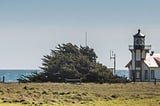 On the Mendocino Coast, A Frolic on the Rocks