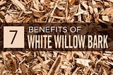 White Willow Bark Extract: Benefits, Side Effects & Dosage