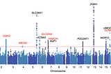 What are Genome-Wide Association Studies?