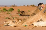 Morocco Desert Camp — Explore Morocco’s Epic Erg Chebbi Dunes