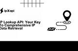 IP Lookup API: Your Key To Comprehensive IP Data Retrieval