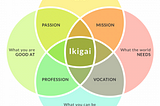 The Secret of IKIGAI