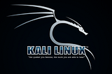 Problem Wifi Kali Linux not working