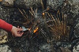 6 Tips help you to choose a better camping lighter