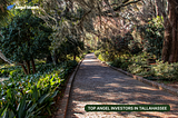 Top 7 Angel Investors in Tallahassee