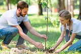 A Beginners Guide to Tree Planting