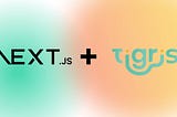 Building data-rich apps with Next.js and Tigris