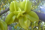 Star Fruit wikipedia