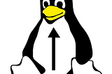 Common Linux Privilege Escalation