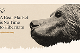Медвежий рынок не время впадать в спячку