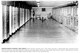 Solitary Confinement